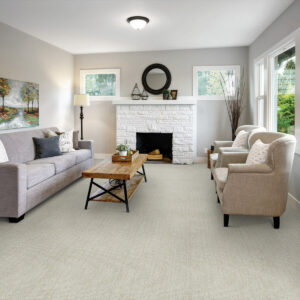 Elegant Carpet | Haley’s Flooring, Kitchen & Bath