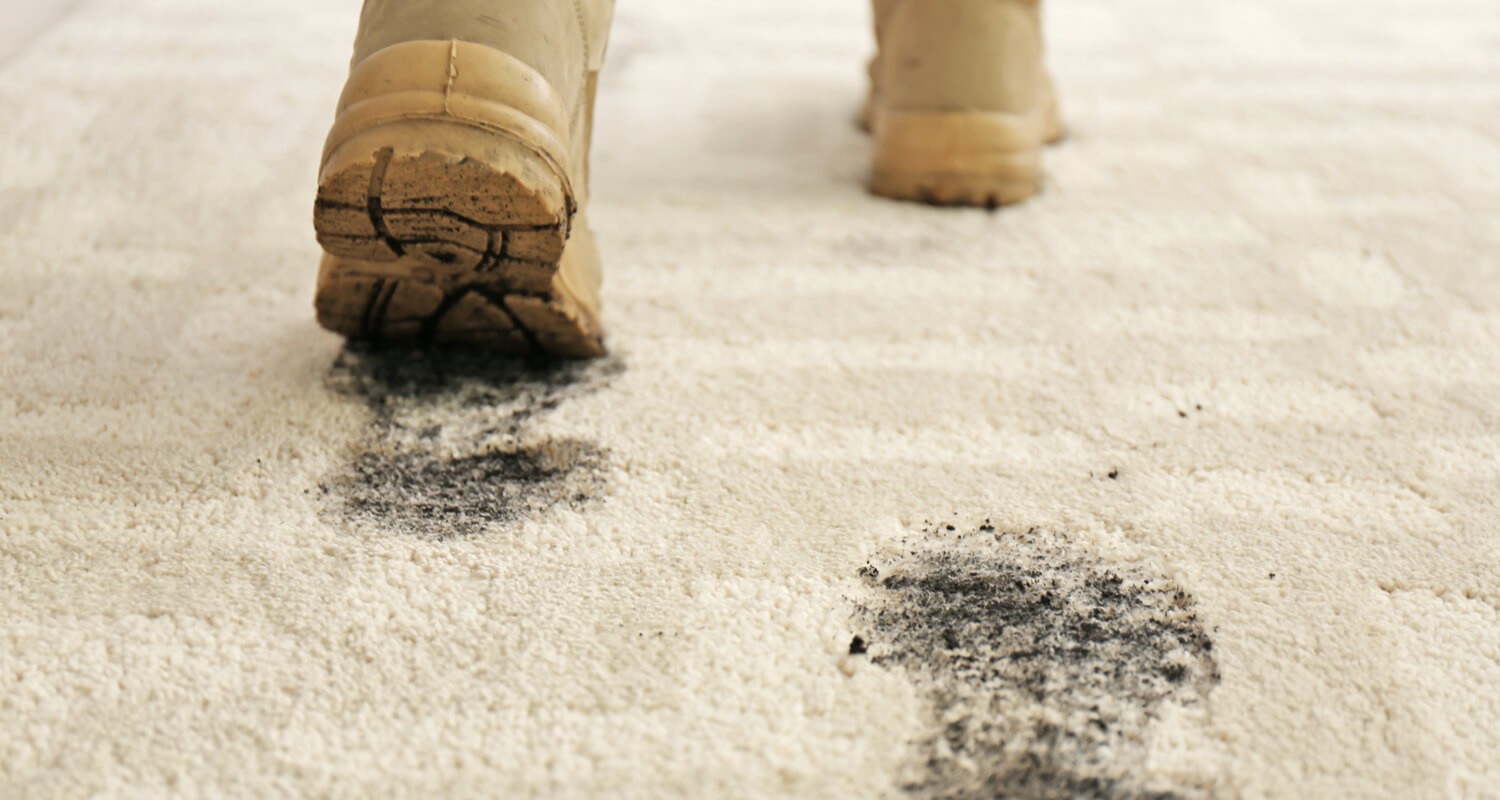 Cleaning Carpet | Haley's Flooring, Kitchen & Bath